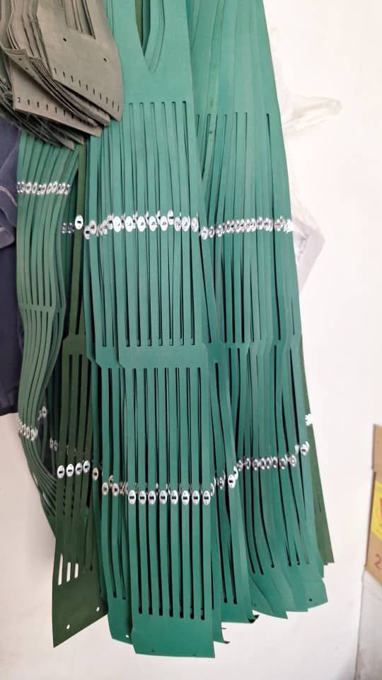 photo_2025-05-31_08-07-33