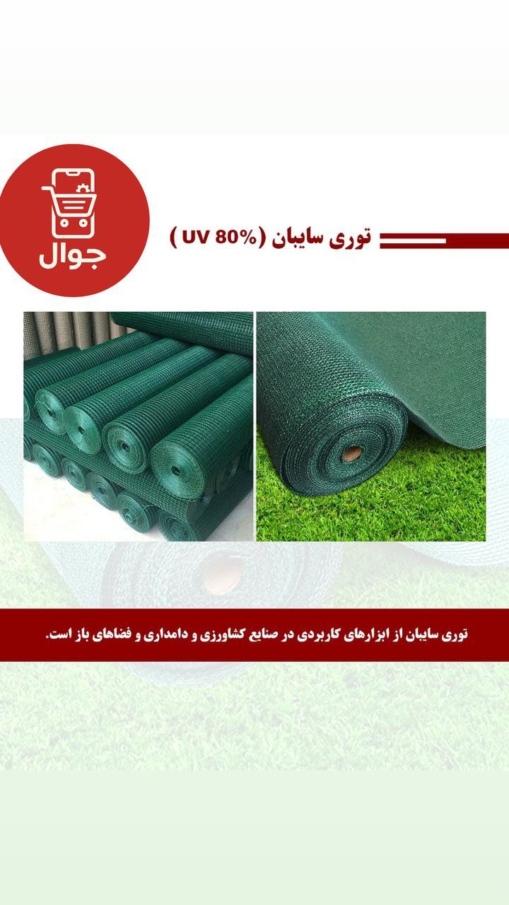 photo_2025-06-05_01-21-57